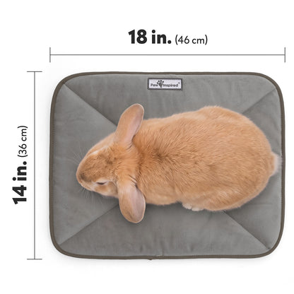 Top-down view of a tan rabbit resting on a grey Paw Inspired self-heating pet mat labeled with dimensions 18 by 14 inches (46 cm by 36 cm).