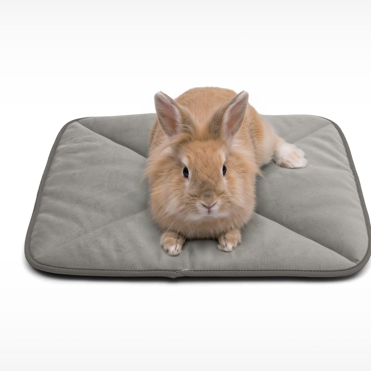 A fluffy tan rabbit sitting on a grey Paw Inspired self-heating pet mat measuring 18 by 14 inches.