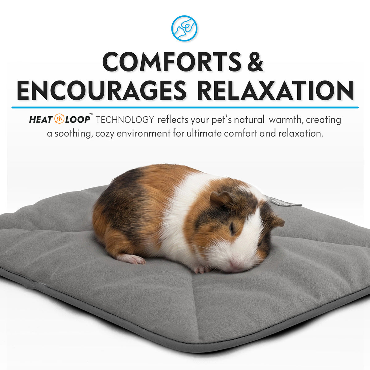 A small guinea pig sleeping comfortably on a grey Paw Inspired self-heating pet mat with Heat Loop technology.