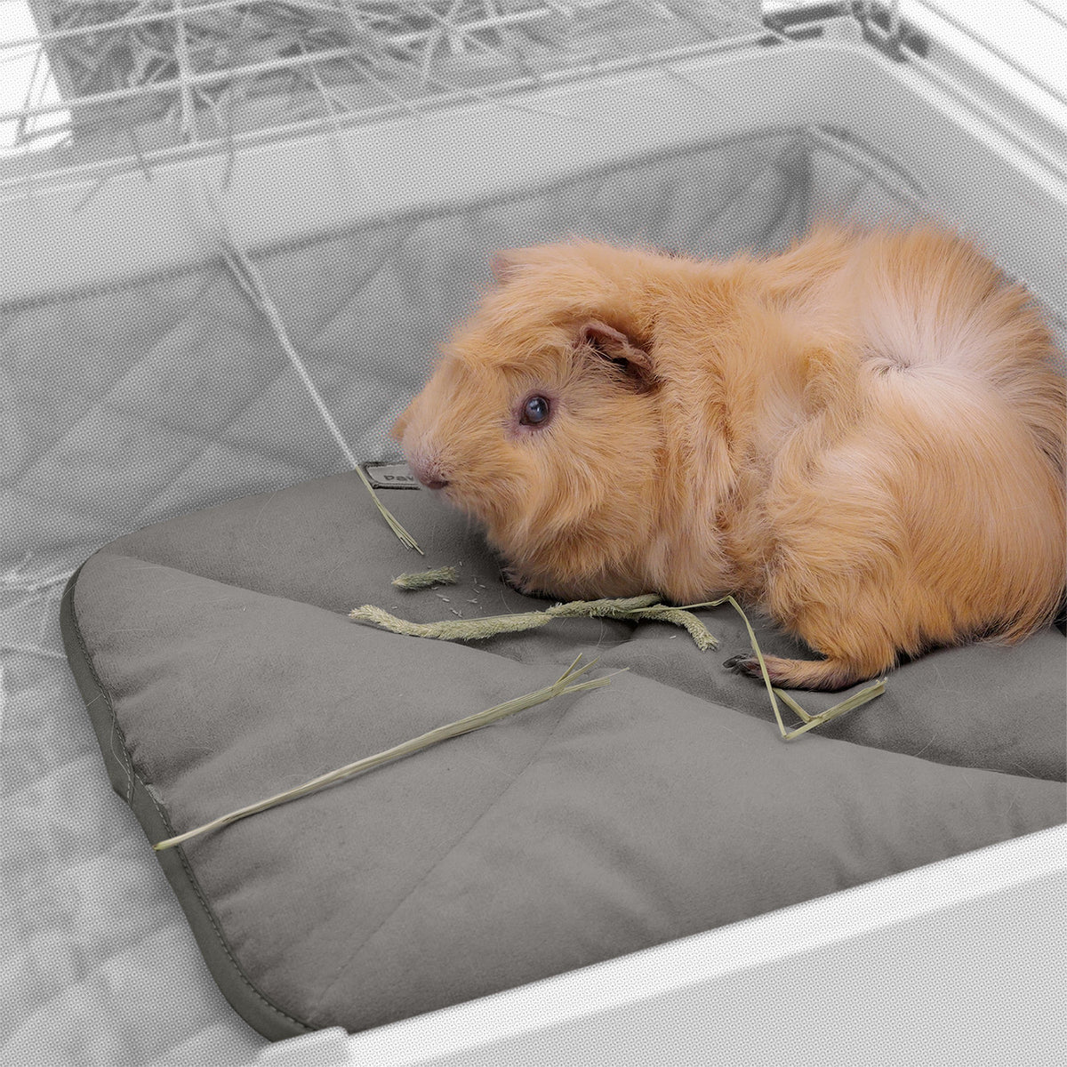 A guinea pig resting on a grey Paw Inspired self-heating pet mat placed inside a wire pet cage.