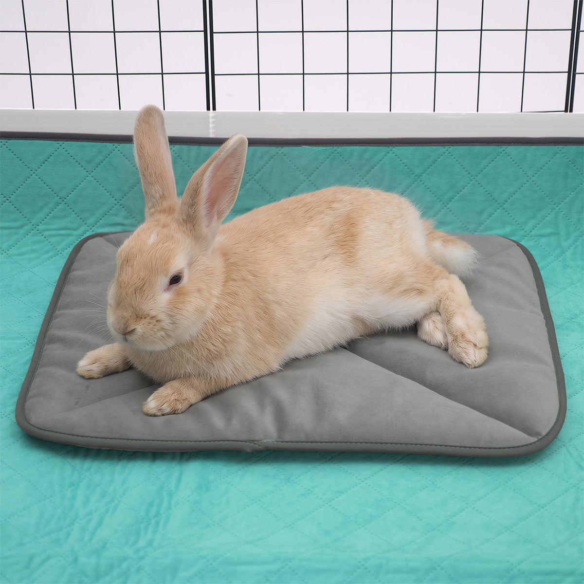 A light brown rabbit relaxing on a grey Paw Inspired self-heating pet mat inside a pet playpen setup.