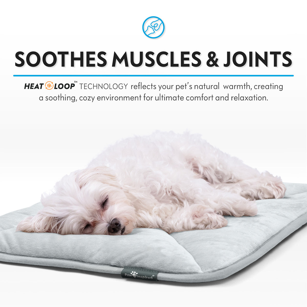 A white dog sleeping peacefully on a grey Paw Inspired self-heating pet mat with text highlighting muscle and joint relief.