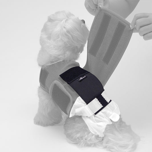 A person attaching the Paw Inspired Stay Put Diaper Holder to a dog's anxiety vest.