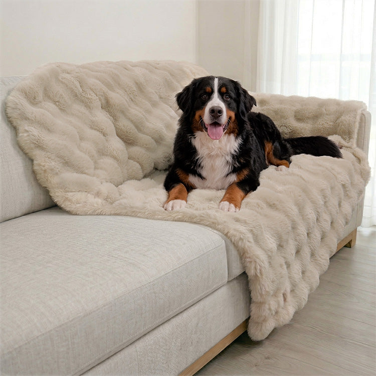 A Bernese Mountain Dog resting on a Paw Inspired extra-large tan waterproof faux fur blanket (60x80 in) used as a heavy-duty sofa protector.