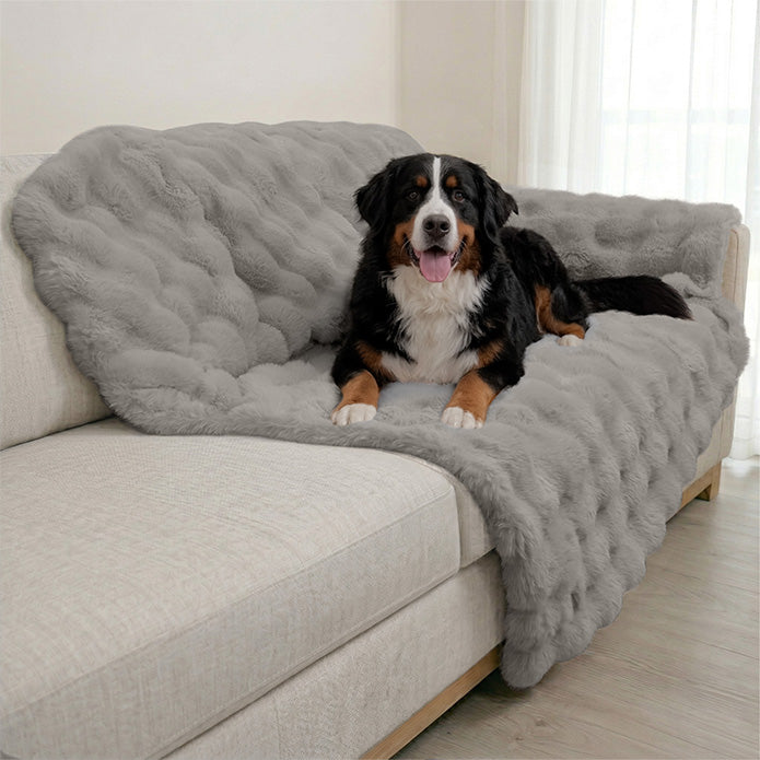 A Bernese Mountain Dog resting on a Paw Inspired extra-large grey waterproof faux fur blanket (60x80 in) used as a heavy-duty sofa protector.