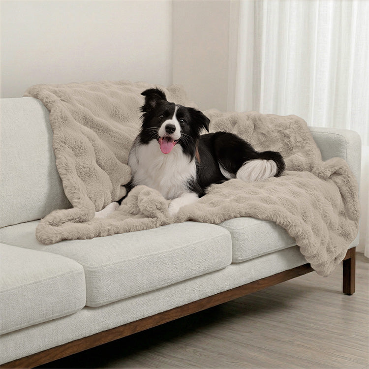 A Border Collie dog laying on a Paw Inspired large grey waterproof faux fur blanket (50x60 in) used as a protective cover for a light-colored sofa.