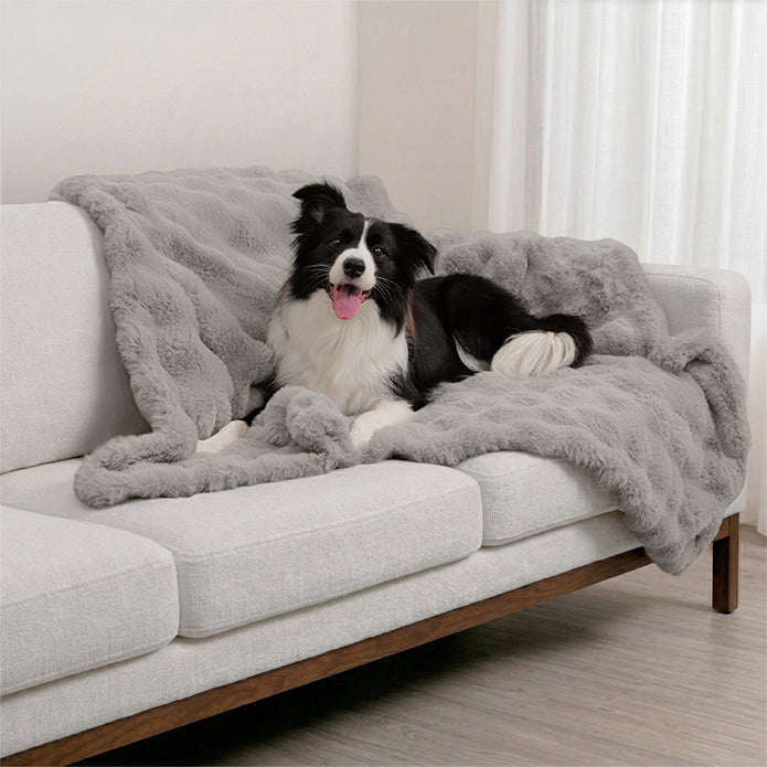 A Border Collie dog laying on a Paw Inspired large grey waterproof faux fur blanket (50x60 in) used as a protective cover for a light-colored sofa.