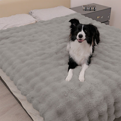 A Border Collie sitting on a Paw Inspired large grey waterproof faux fur blanket (60x80 in) covering a bed to protect the mattress and bedding from pet hair and accidents.
