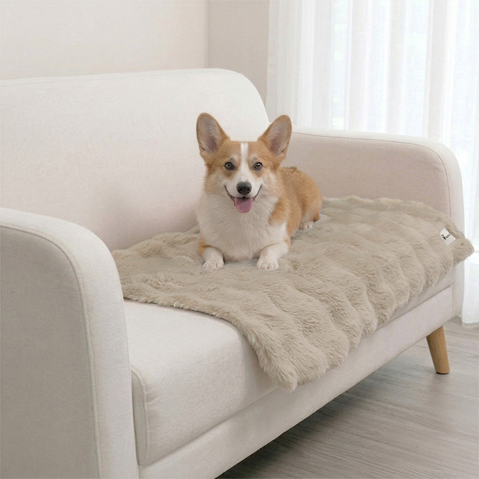 A Corgi relaxing on a Paw Inspired tan waterproof pet blanket, protecting a white fabric sofa from pet hair and accidents.