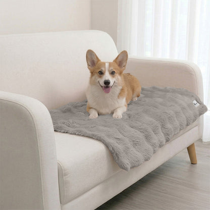 A Corgi relaxing on a Paw Inspired grey waterproof pet blanket, protecting a white fabric sofa from pet hair and accidents.
