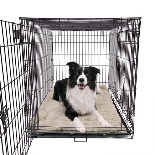 A Border Collie lying comfortably on a Paw Inspired large tan waterproof faux fur blanket (50x60 in) used as a protective and cozy dog crate mat.