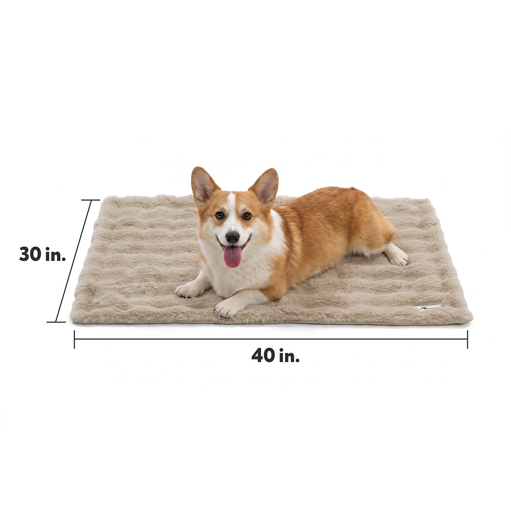 Dimensions guide for the Paw Inspired Waterproof Pet Blanket (40 inches by 30 inches) featuring a Corgi for size reference.