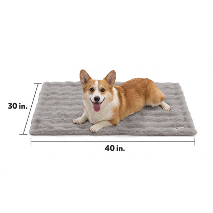 Dimensions guide for the Paw Inspired Waterproof Pet Blanket (40 inches by 30 inches) featuring a Corgi for size reference.