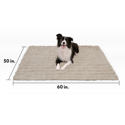 Size guide for the Paw Inspired Waterproof Pet Blanket measuring 50 inches by 60 inches, with a Border Collie for size reference.