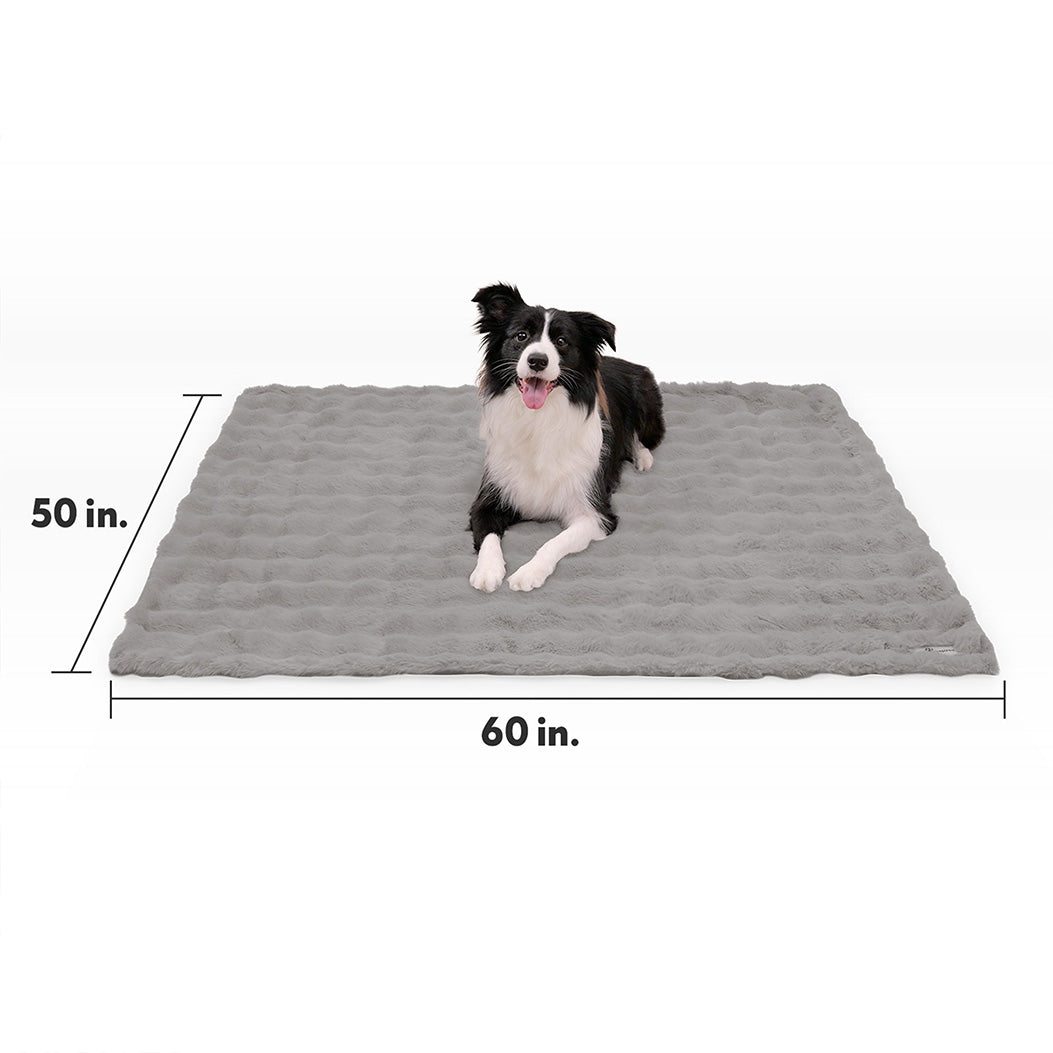 Size guide for the Paw Inspired Waterproof Pet Blanket measuring 50 inches by 60 inches, with a Border Collie for size reference.