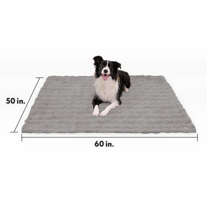 Size guide for the Paw Inspired Waterproof Pet Blanket measuring 50 inches by 60 inches, with a Border Collie for size reference.