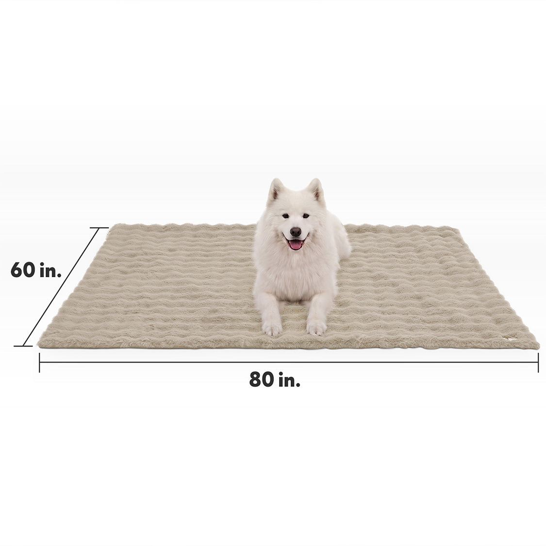 Size guide for the Paw Inspired Waterproof Pet Blanket measuring 60 inches by 80 inches, featuring a white dog for size reference.