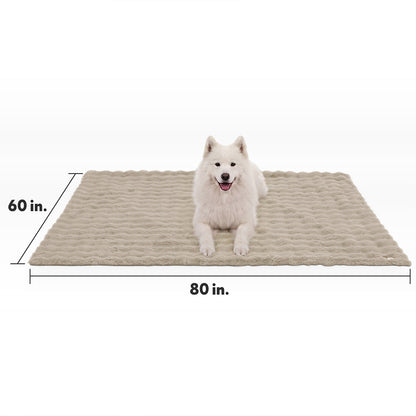 Size guide for the Paw Inspired Waterproof Pet Blanket measuring 60 inches by 80 inches, featuring a white dog for size reference.