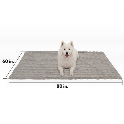Size guide for the Paw Inspired Waterproof Pet Blanket measuring 60 inches by 80 inches, featuring a white dog for size reference.