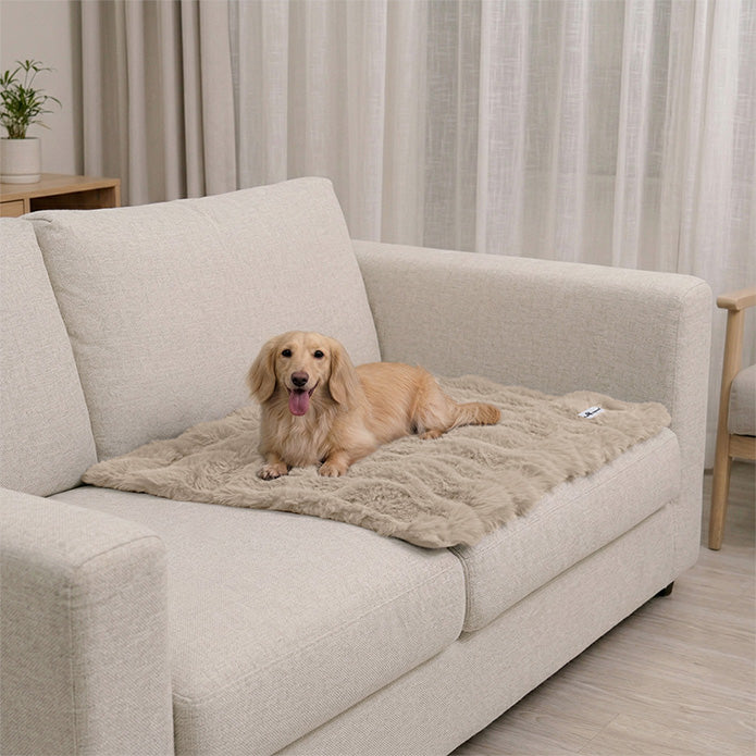 Paw Inspired Waterproof Dog Blanket for couch and sofa protection featuring a long-haired dog resting on a plush tan mat.