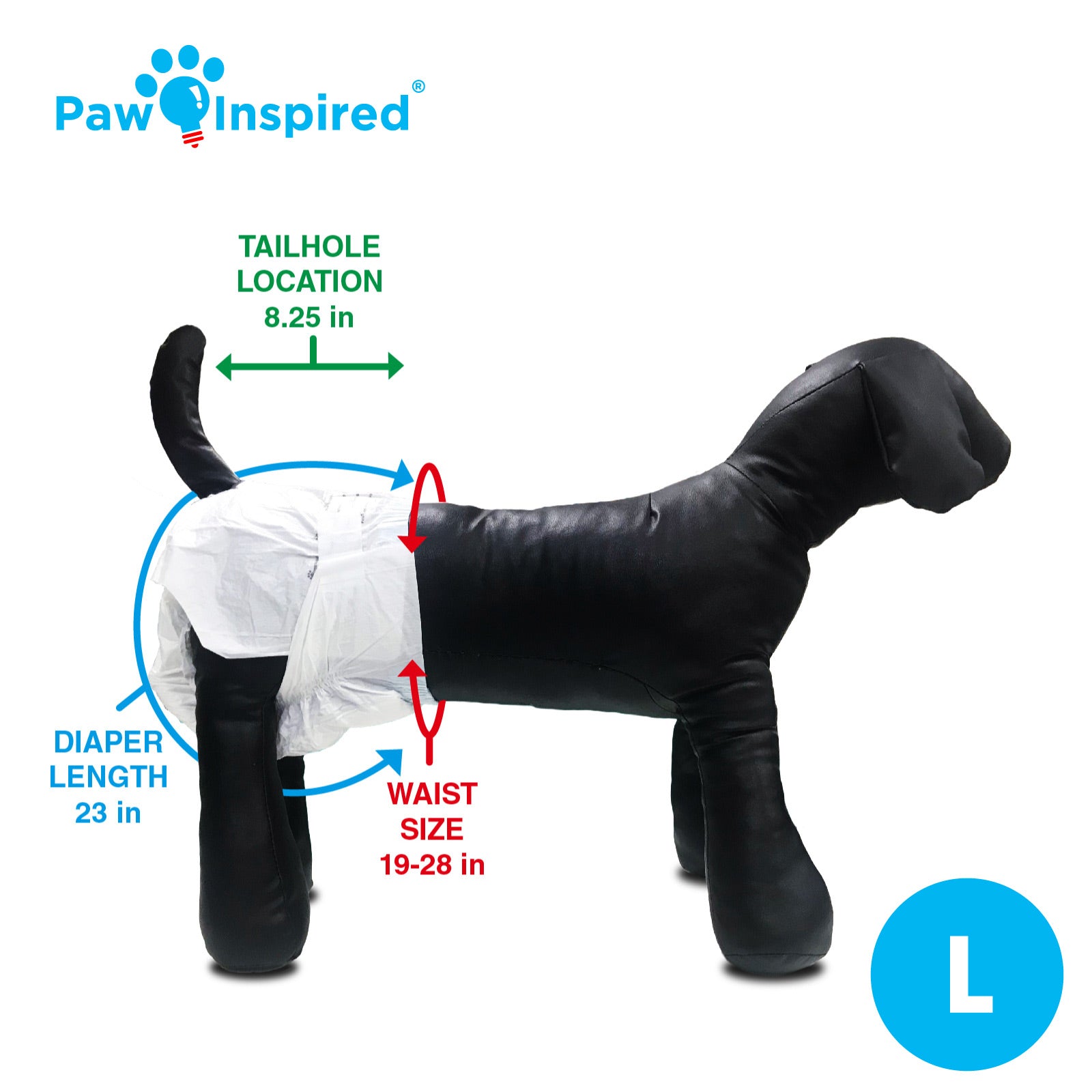 Paw Inspired® disposable dog diaper sizing diagram for large dogs, with measurements and tail hole placement on mannequin