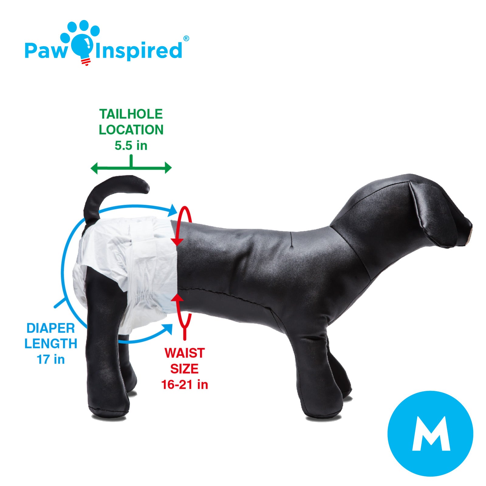 Paw Inspired® disposable dog diaper on black dog mannequin with size M label, demonstrating medium size diaper fit and tail hole placement