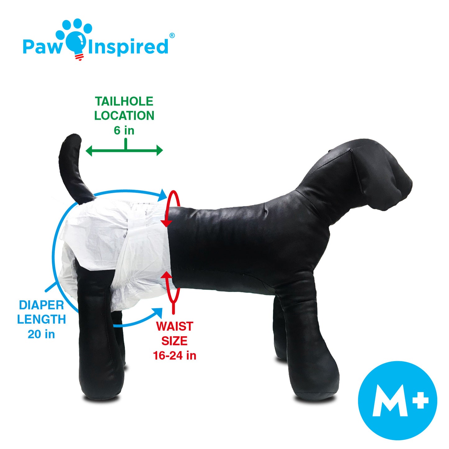 Paw Inspired® disposable dog diaper fit guide for M+ size, showing diaper length and waist range on black mannequin dog