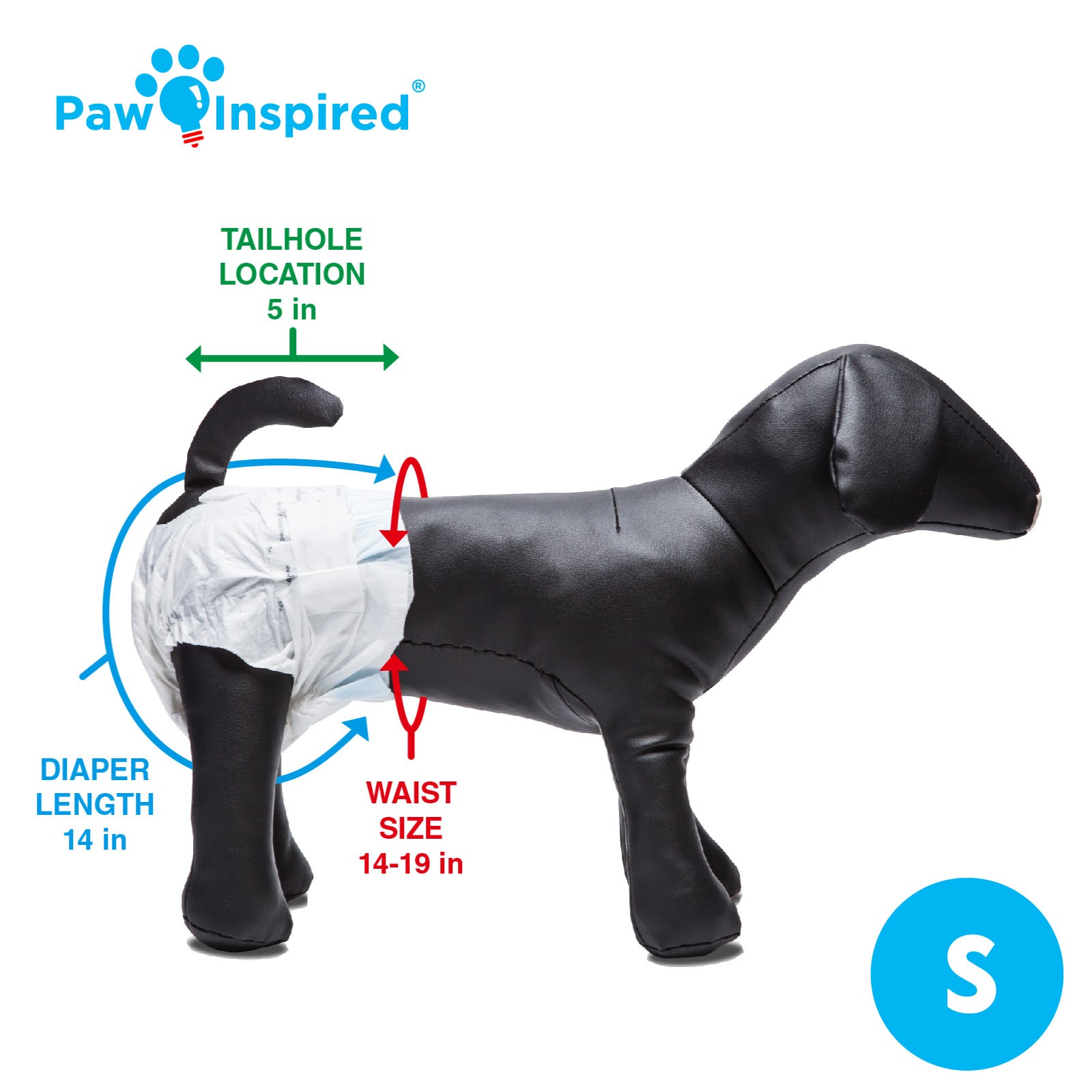 Paw Inspired® disposable dog diaper on black dog mannequin with size S label, showing tail hole location and waist size for small dogs