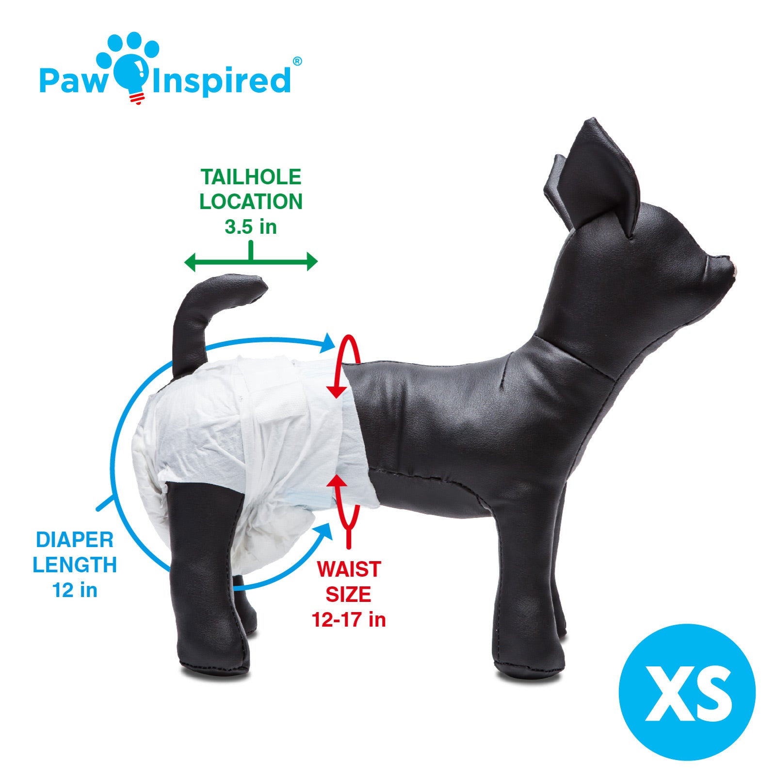 Size guide for Paw Inspired® x-small disposable dog diapers – includes tail hole and waist measurement