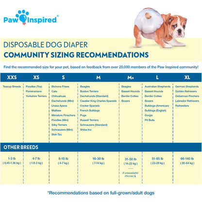 Disposable Dog Diapers