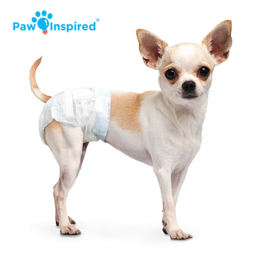 Disposable Dog Diapers – Leakproof, Ultra-Absorbent Paw Inspired®