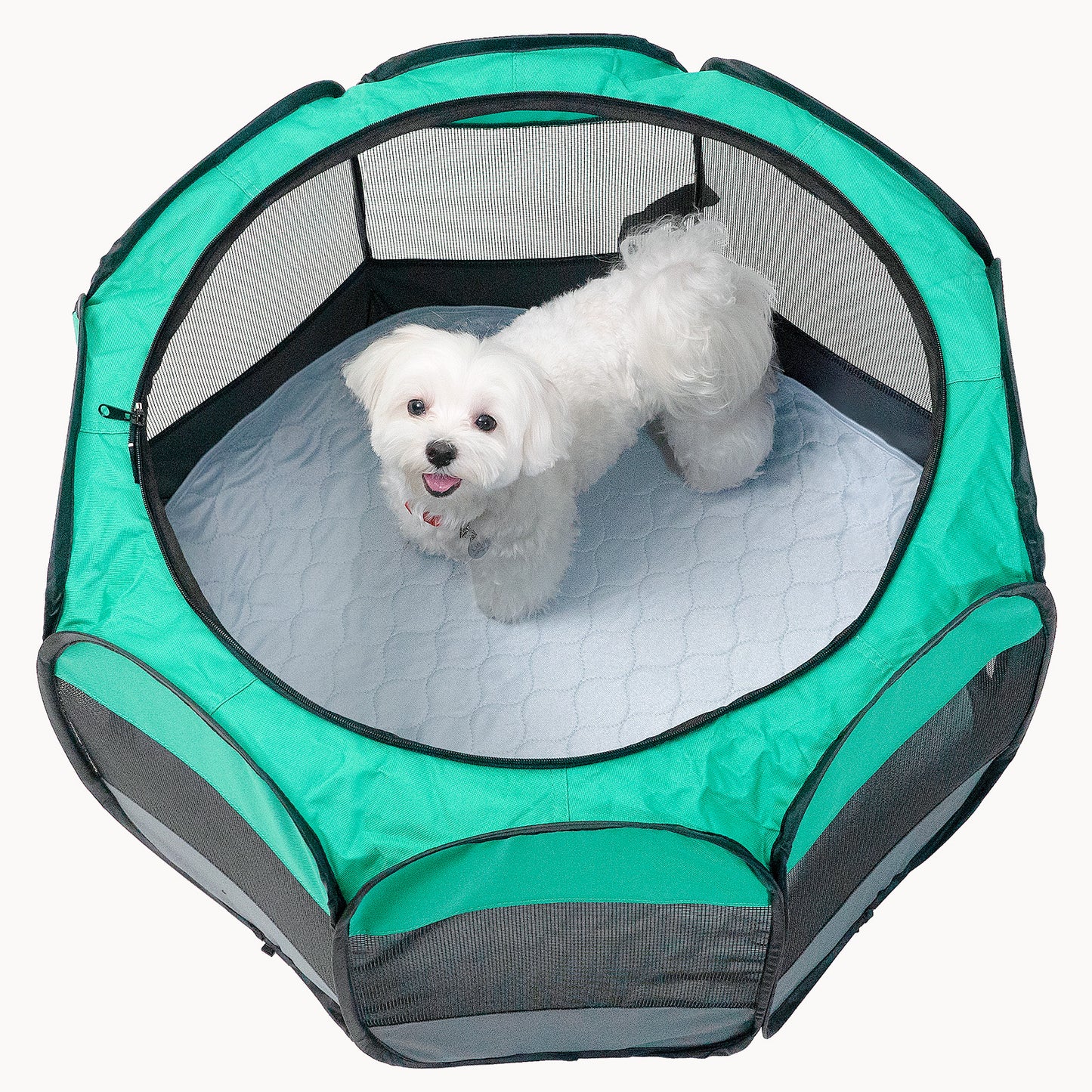 Round Washable Dog Pads