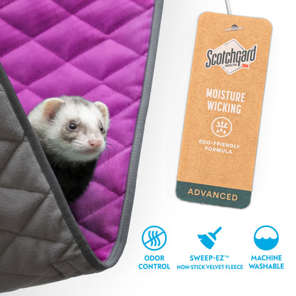 Hammock
