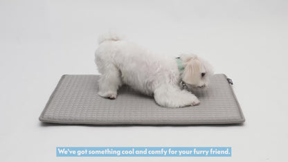 Cooling Orthopedic Crate Mats