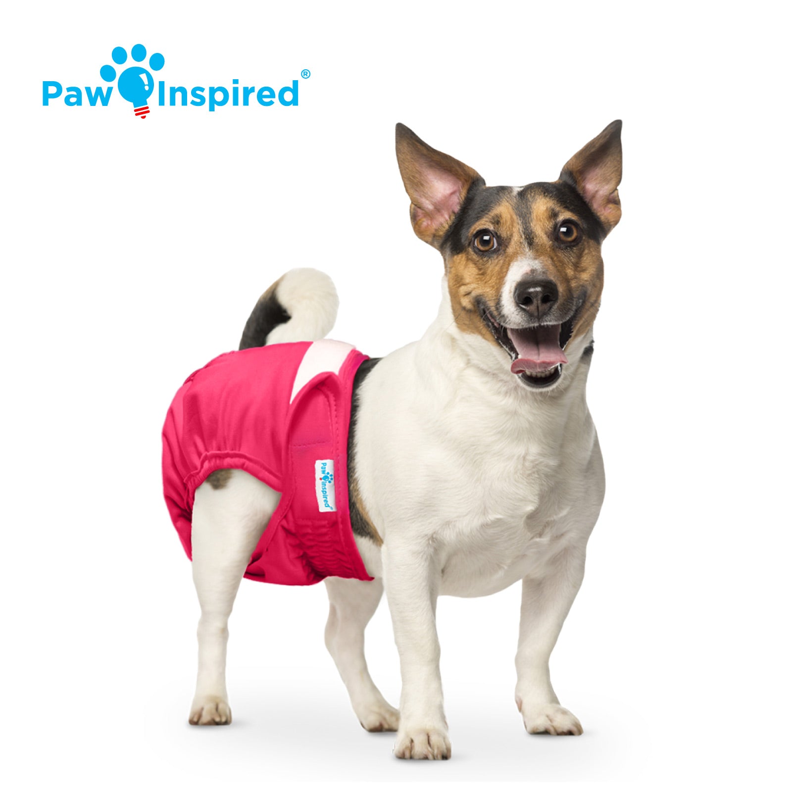 Happy terrier dog wearing red Paw Inspired washable diaper – standing front-facing with logo and white background.