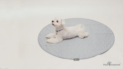 Round Washable Dog Pads
