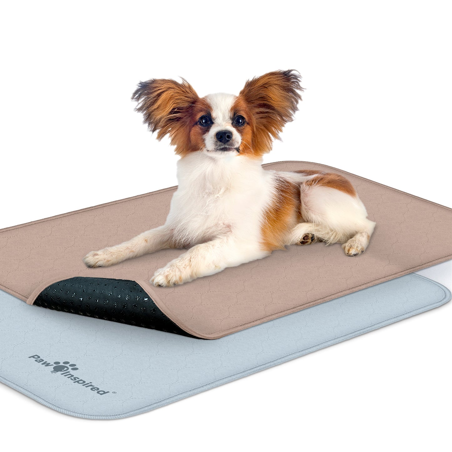 Washable Dog Pads