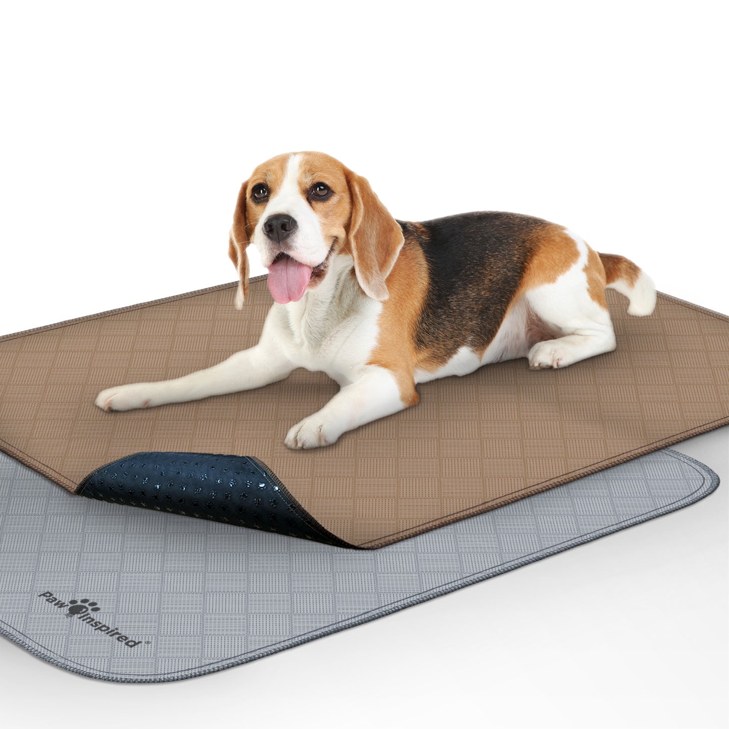 Washable Dog Pads