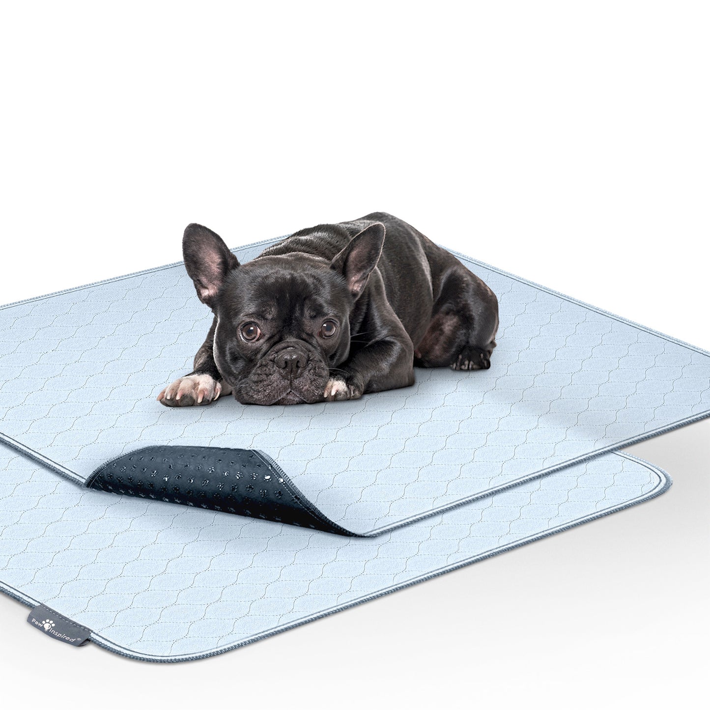 Washable Dog Pads