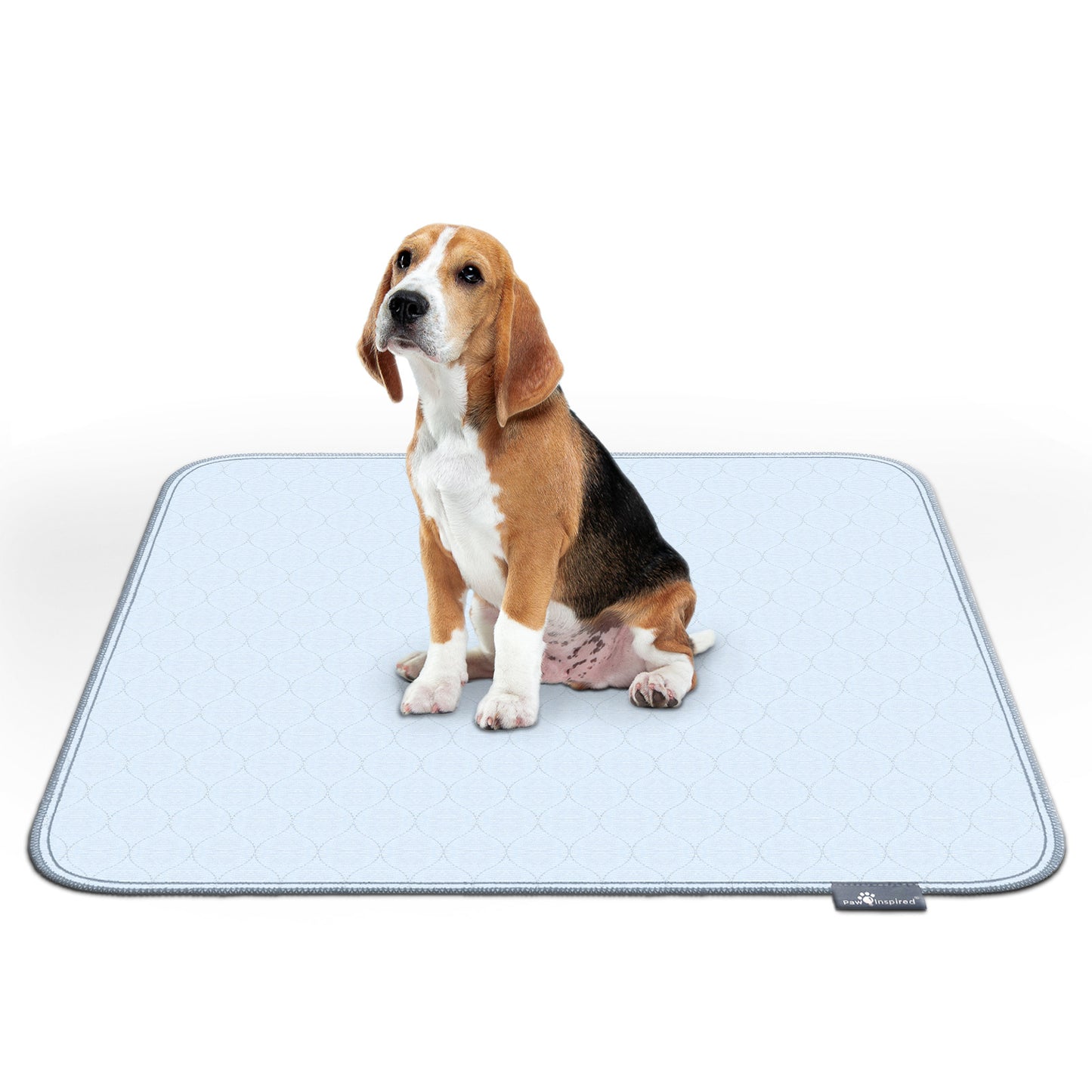 Washable Dog Pads