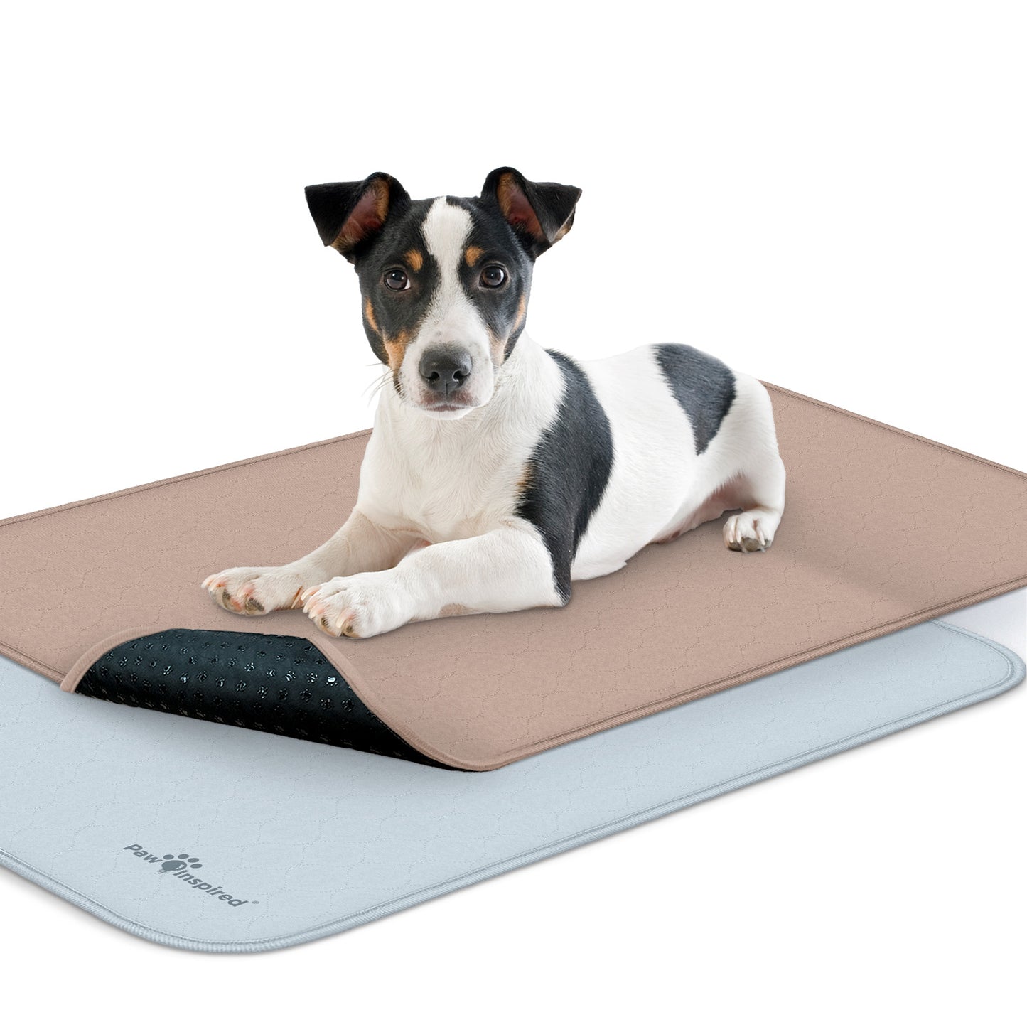 Washable Dog Pads