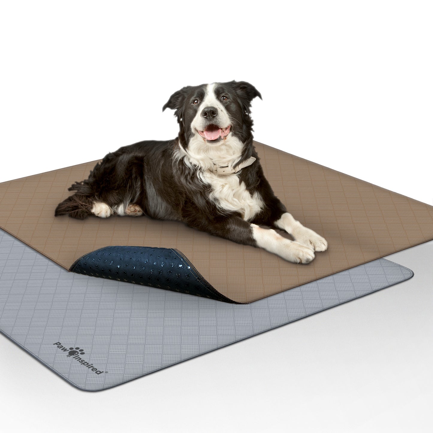 Washable Dog Pads