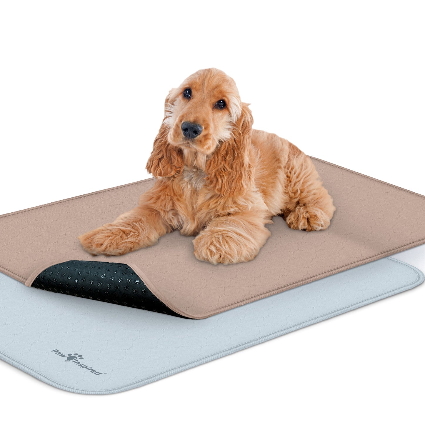 Washable Dog Pads