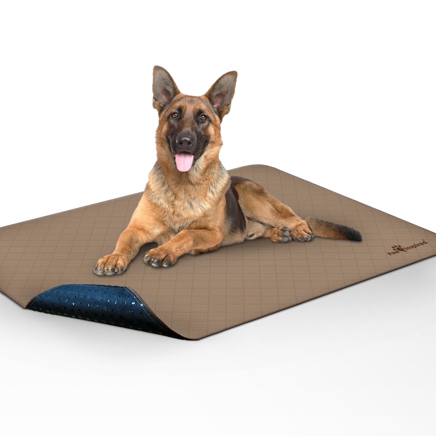Washable Dog Pads