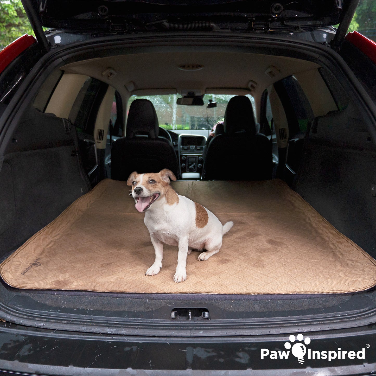 Washable Dog Pads