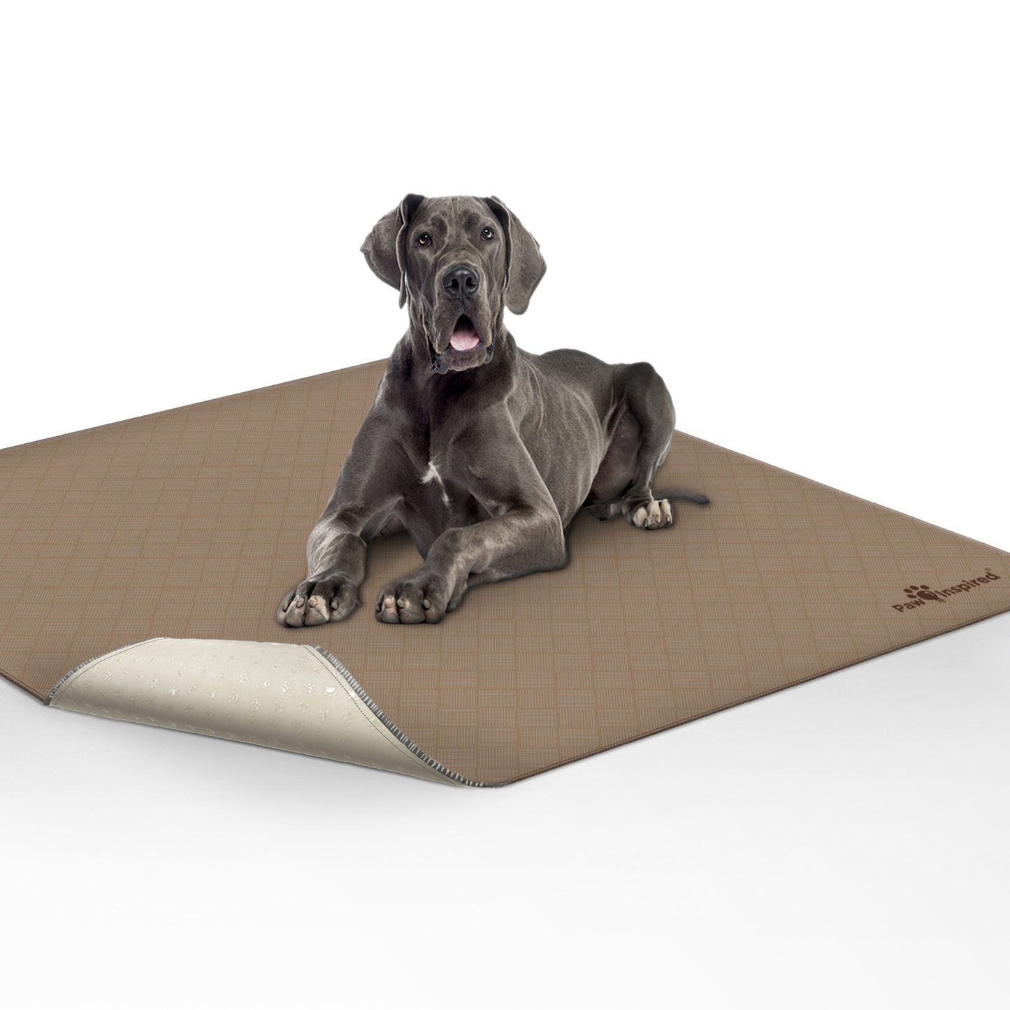Washable Dog Pads