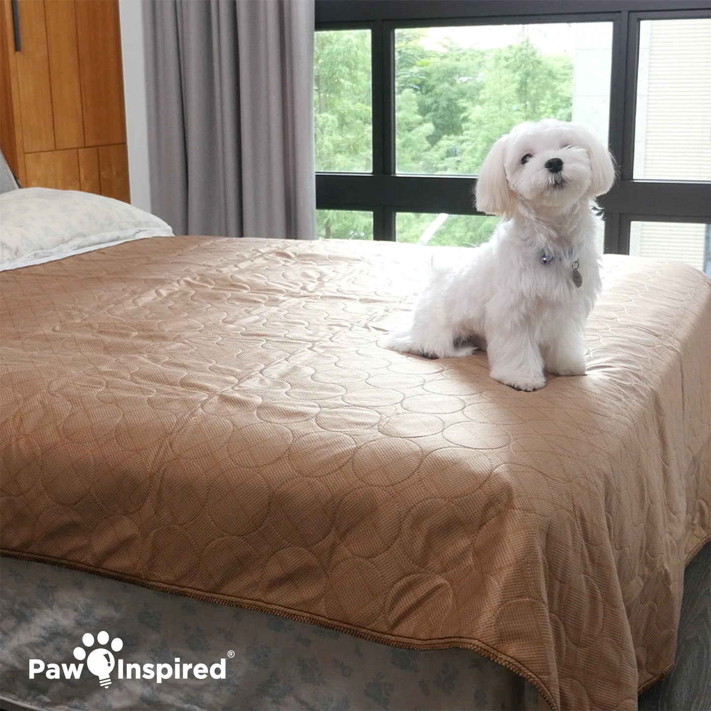 Washable Dog Pads