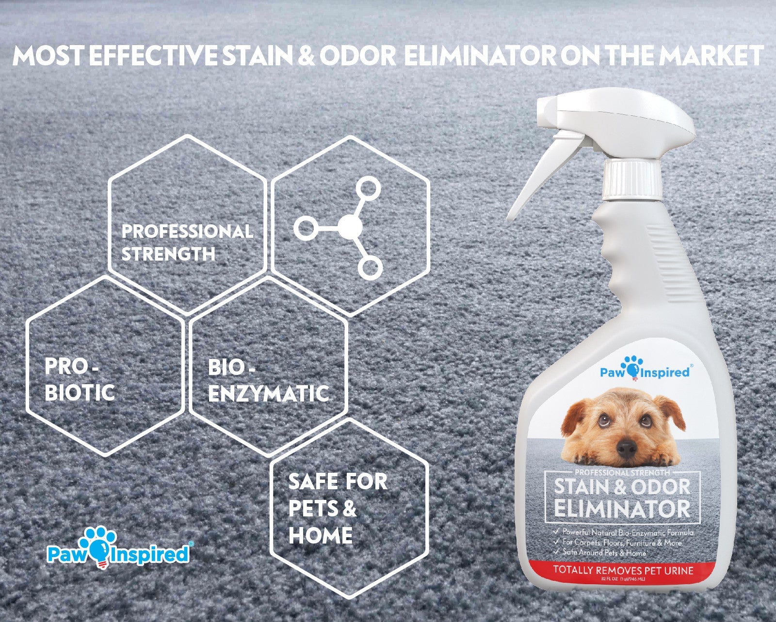 Paw Inspired Professional Strength Stain & Odor Eliminator Enzyme Cleaner