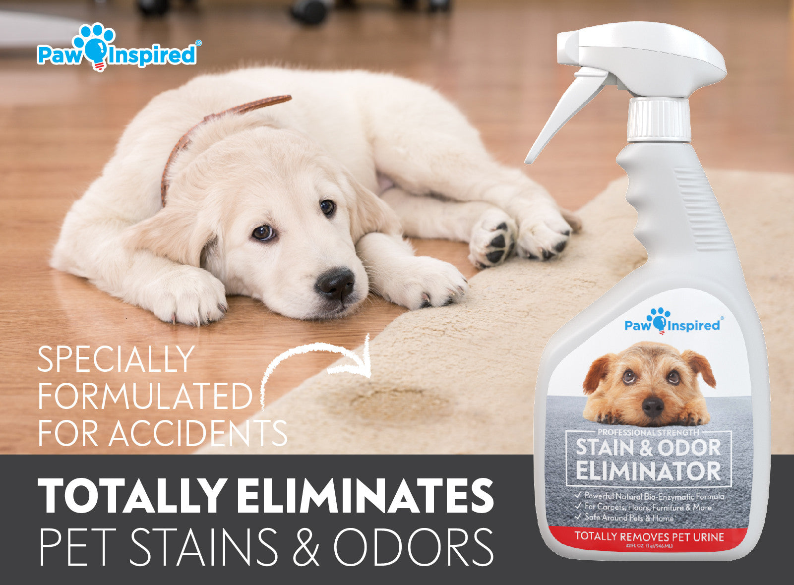 Paw Inspired Professional Strength Stain & Odor Eliminator Enzyme Cleaner
