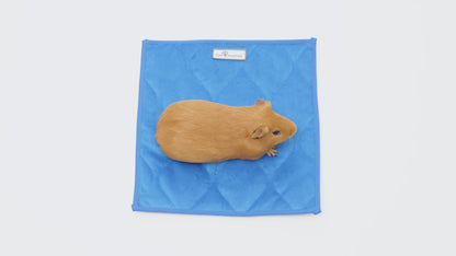 Washable 12”x12” Guinea Pig Cage Liner Pads (3 Count)